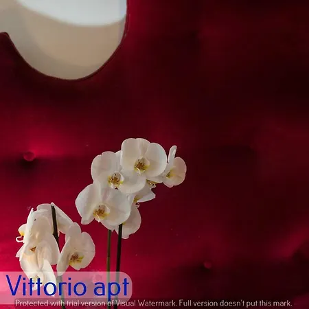 Apartmán Corso Vittorio Řím